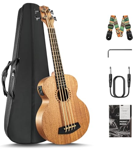 Amazon.com: Eastman VL305 Andreas Eastman Violín Intermedio